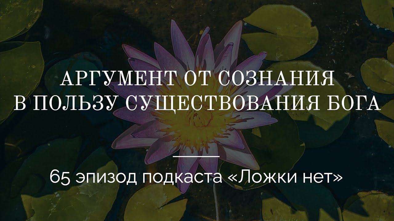 65. Аргумент от сознания в пользу существования Бога