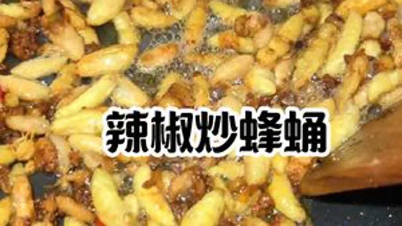 就这样捡到一窝马蜂，有蜂蛹吃了#康哥诱蜂找蜂  #马蜂  #蜂蛹美食  #三农  #记录我的农村生活
