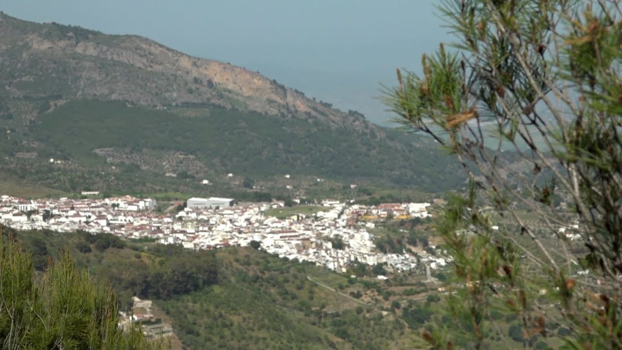 MÁLAGA SALEROSA (YUNQUERA)