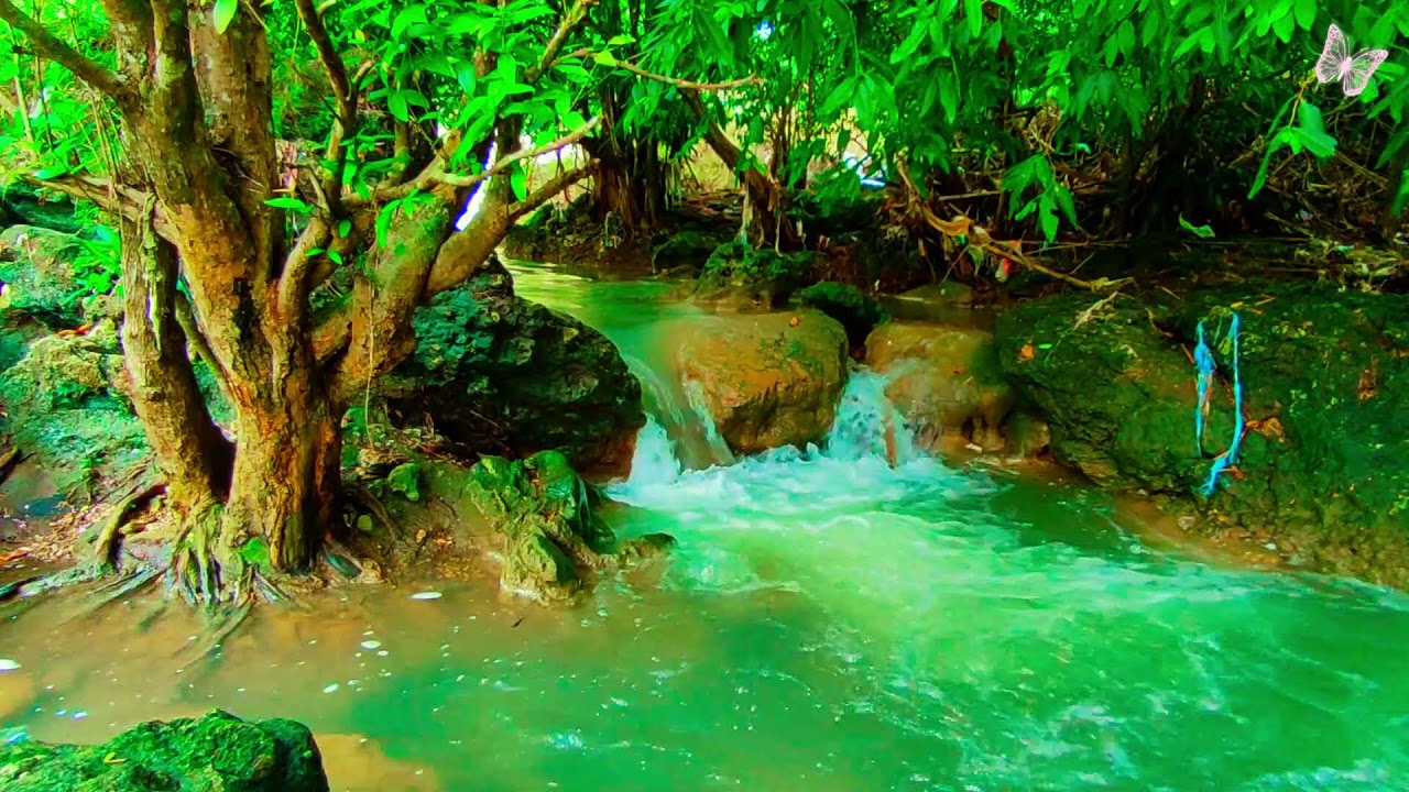 Relaxing Music For Stress Relief, Anxiety and Depressive States🌲Heal Mind, Body and Soul 40