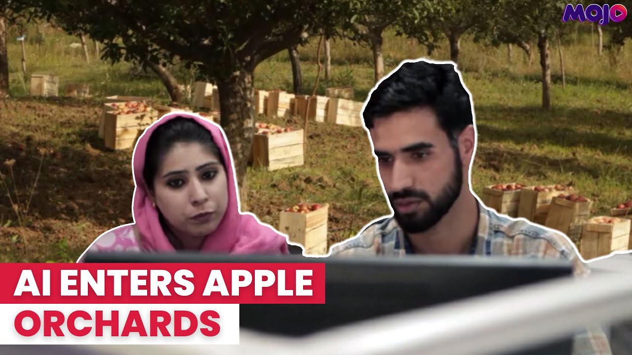 How An App Is Transforming The Lives Of Apple Farmers In Kashmir? | MOJO Documentary