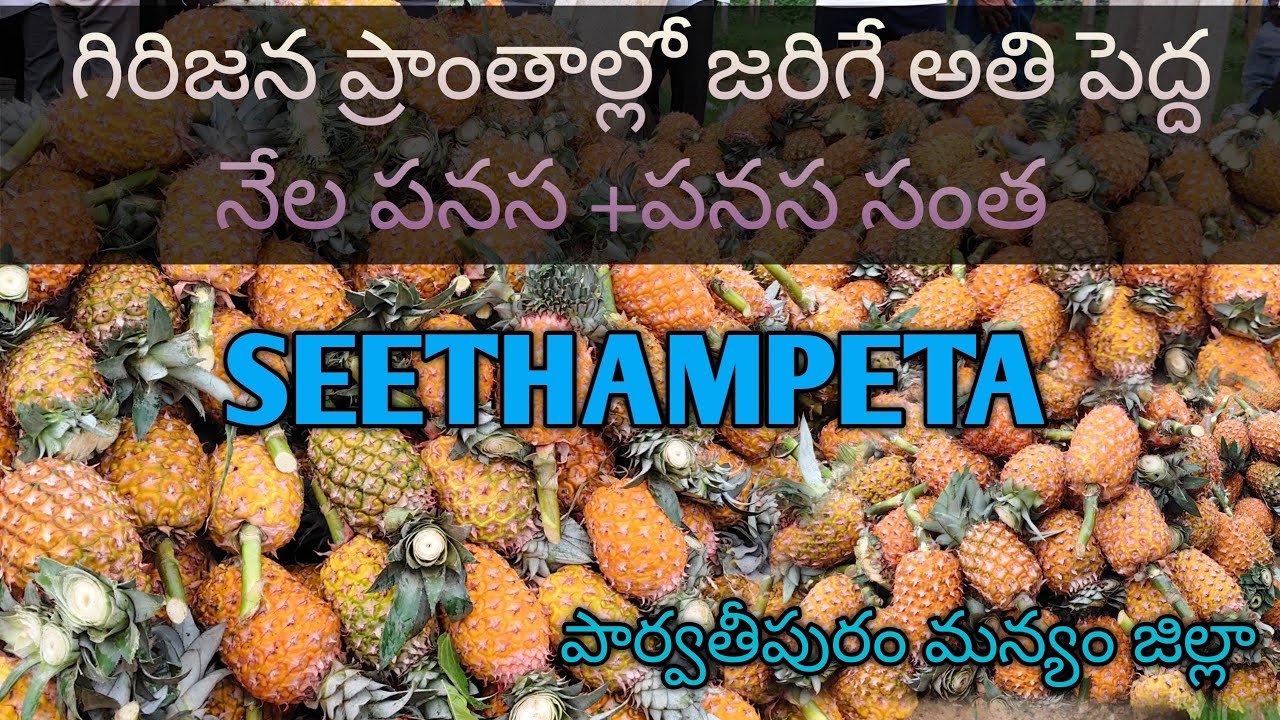 Seethampeta pineapple market/పార్వతీపురం మన్యం