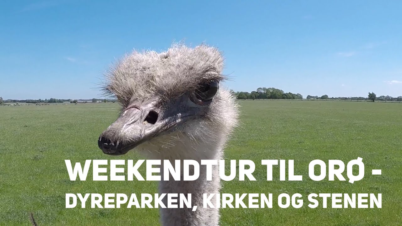 Weekendtur Til Orø - Dyreparken, Kirken Og Stenen