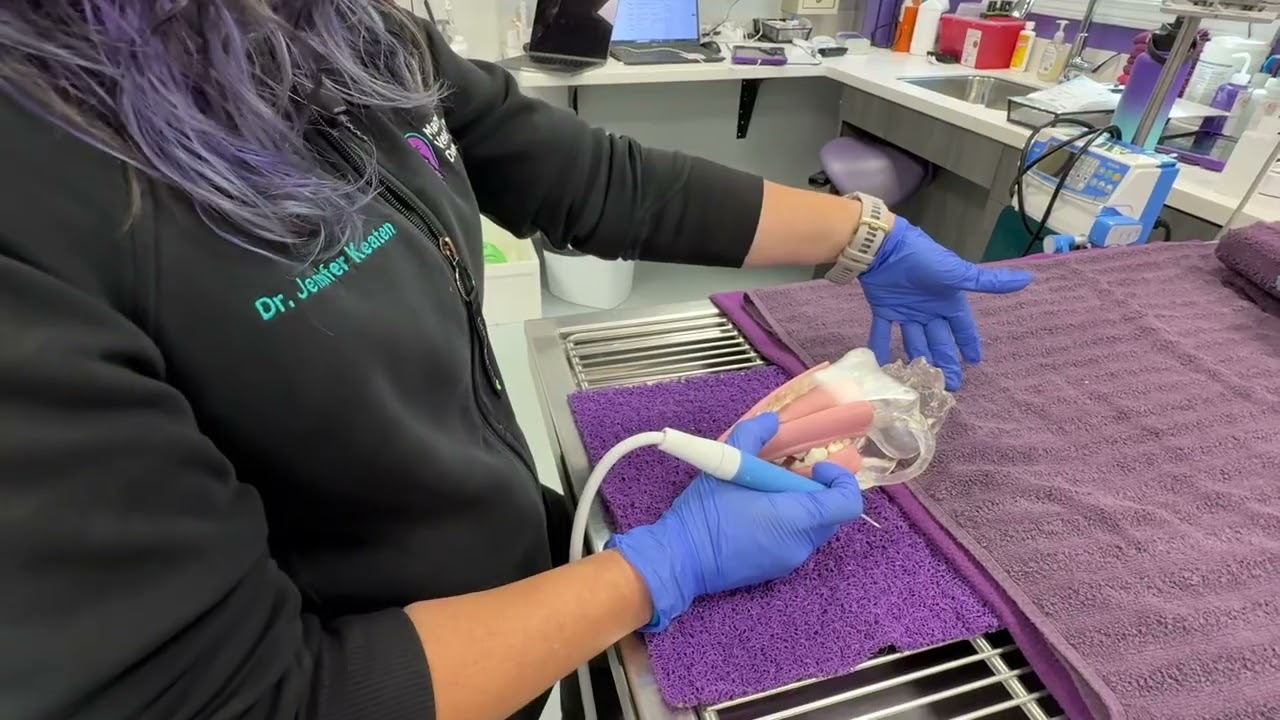 Dr. Keaten at MVD explains how to properly clean animal teeth keeping ergonomics in mind