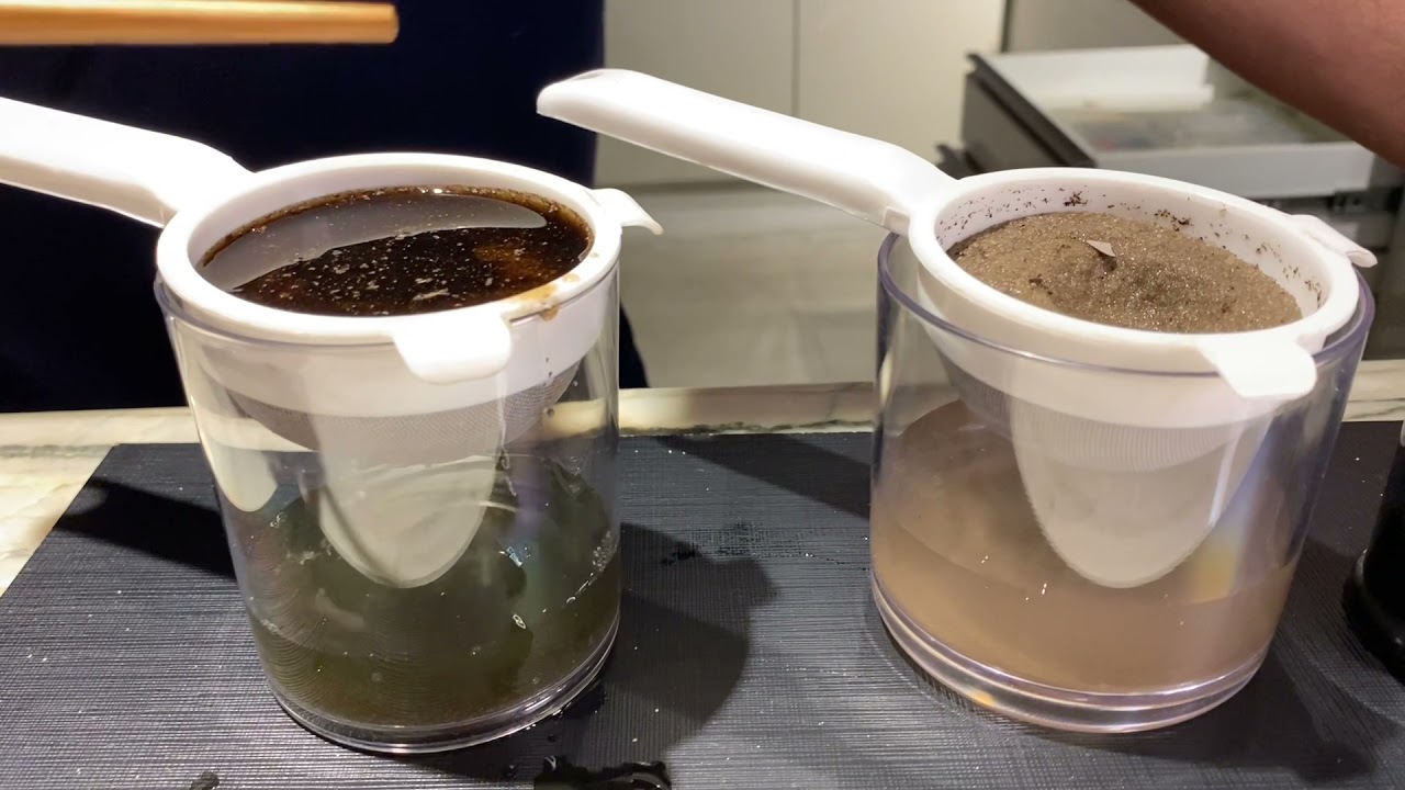 LEONARDITA MATERIA ORGANICA RETENÇÃO DE AGUA NO SOLO PARA PLANTIO DE EUCALIPTO.