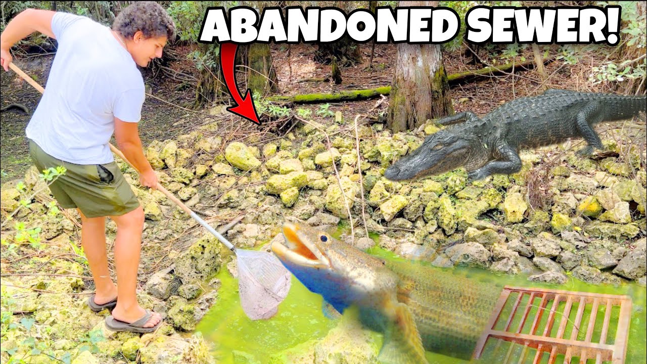 I Found An ABANDONED Sewer!