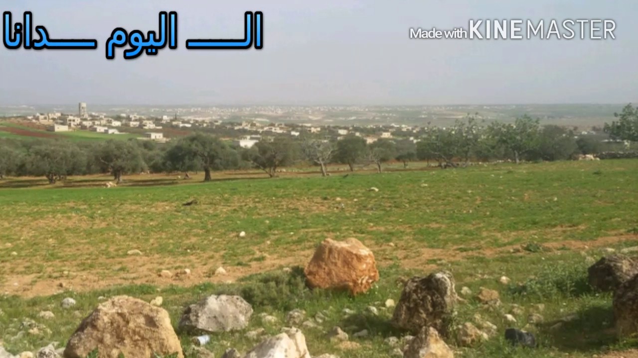 الدانا