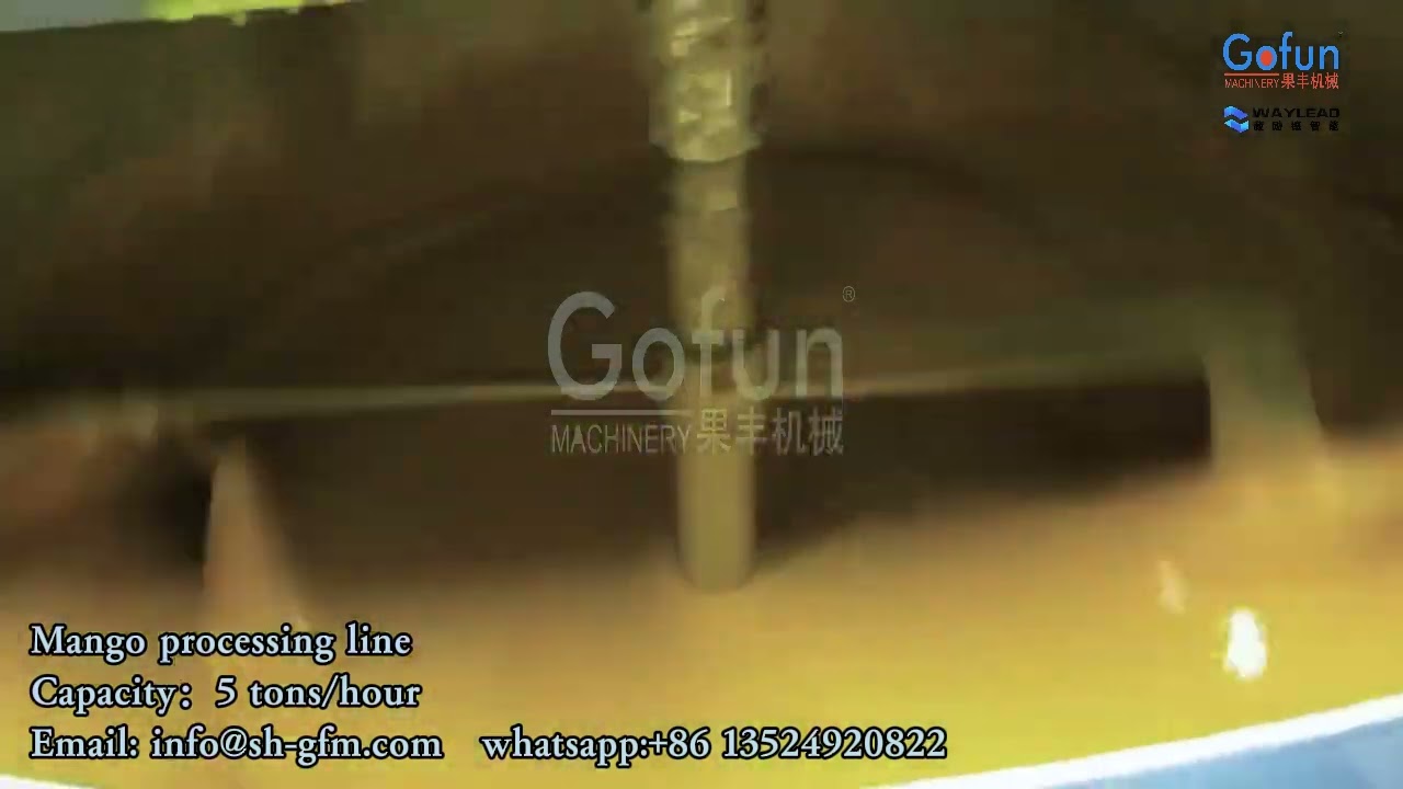 Mango processing production line selection guide Mango Fruit Destoner Machine