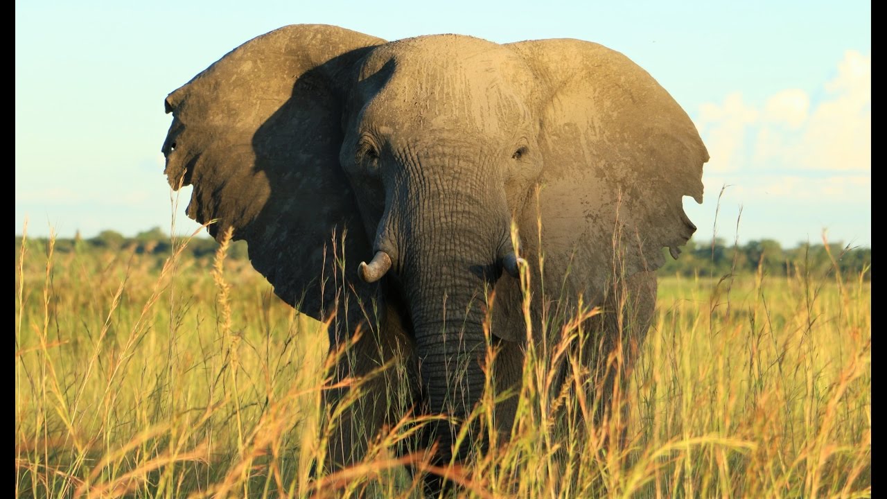 Beautiful Namibia | Africa