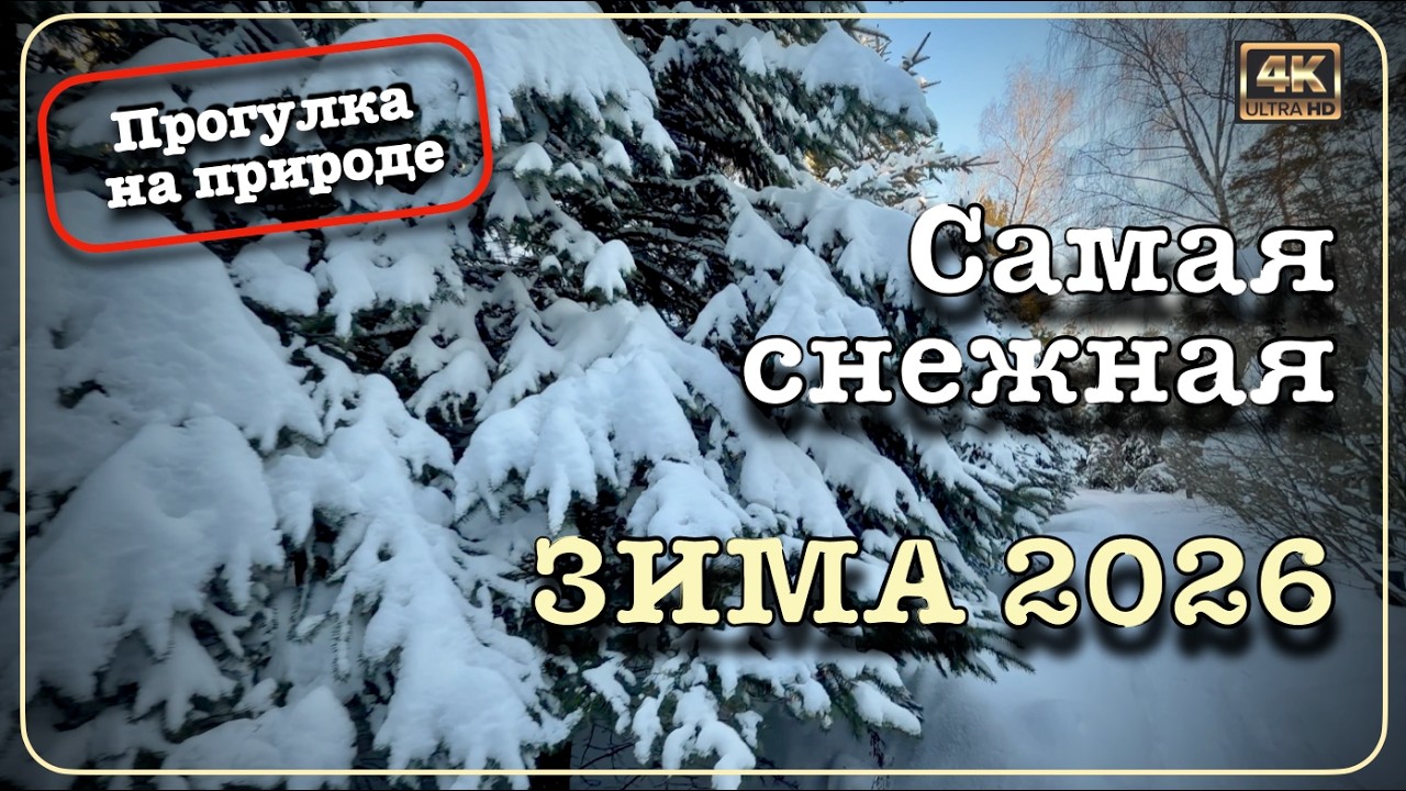 Самая снежная зима 2026 ❄️🌲❄️ 🌲Прогулка на природе 🚶🏻‍♂️‍➡️