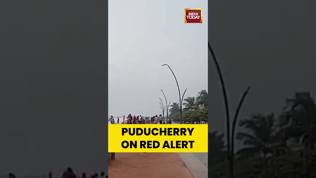 Red Alert Puducherry: Cyclone Ditwah Hits Hard | India Today