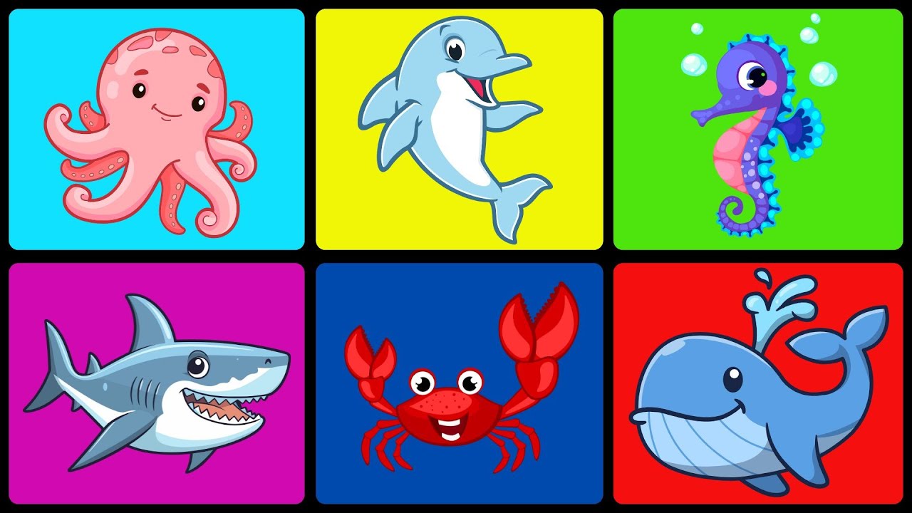 🌊🐠 ¡Explora el Océano! Conoce a los Animales Marinos Más Asombrosos 🐬🦀 Aprende con Gael y Owen ⭐