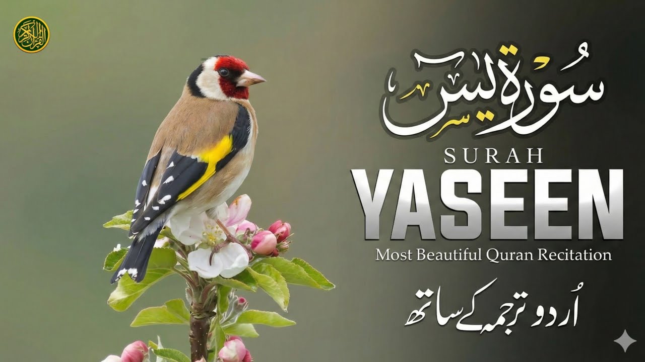 Surah Yaseen (سورة يس) - Beautiful Recitation with Urdu Translation | Qari Mansoor Ghaznavi | EPs 17