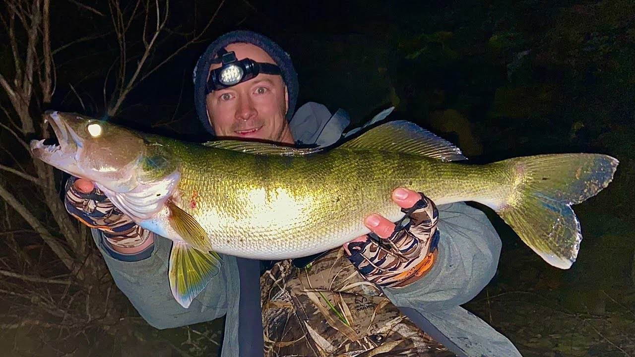 SWIMBAITS for Late Fall WALLEYES! Numbers AND Size (Western Pennsylvania)