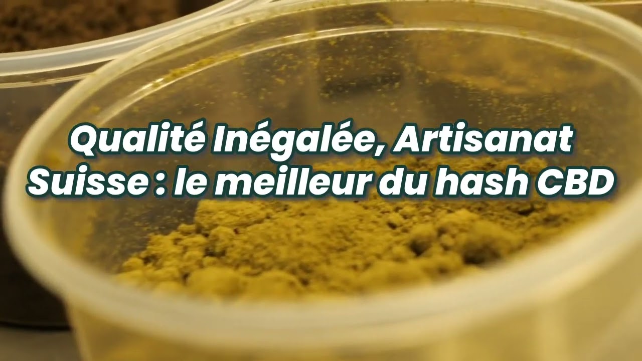 Swiss Premium Pollen: High quality CBD hash from Switzerland