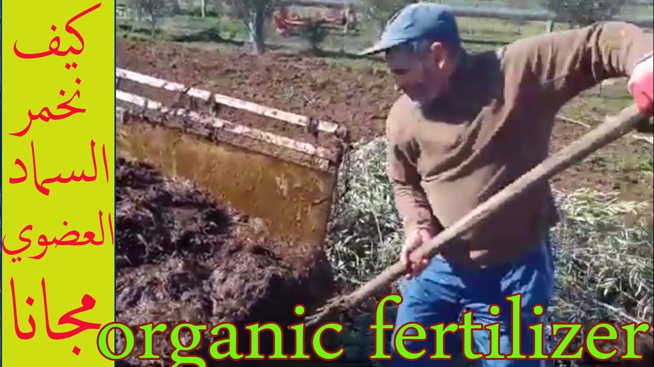 طريقة فعالة لتوفير السماد العضوي  تجعلك توفر المال والجود ة