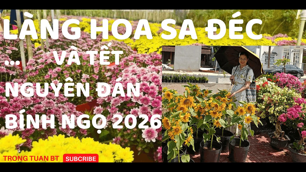 LÀNG HOA SA ĐÉC CHUẨN BỊ CHO TẾT BÍNH NGỌ 2026 | TRONG TUAN BT