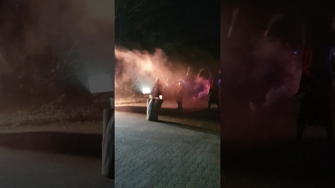 Das offizielle Häsabstauben der Dämonen-Hexa Reutlingen e. V.