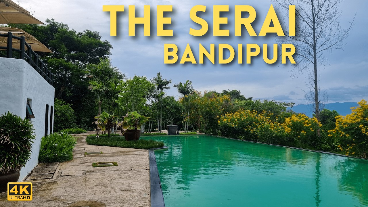 Serai Bandipur, Карнатака | Честный обзор курорта 2025 | Лучшие курорты Индии