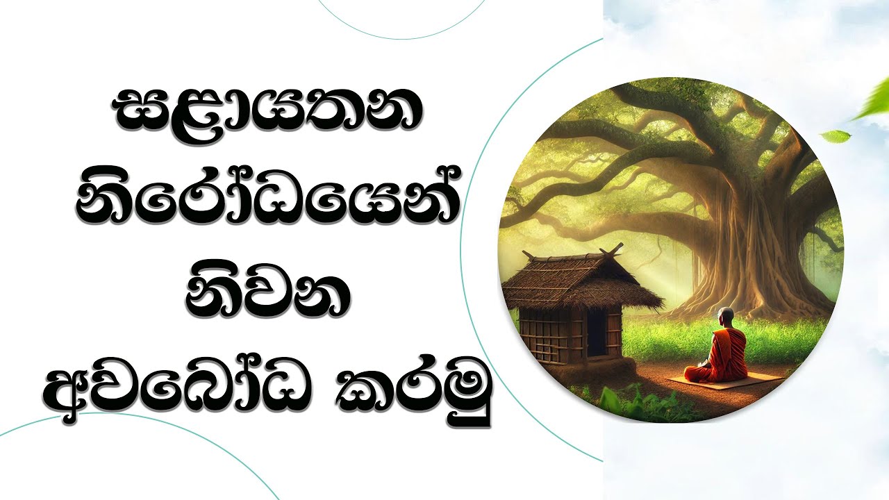 සළායතන නිරෝධයෙන් නිර්වාණය අවබෝධ කරමු..  Ven. Mankadawala Sudassana Thero #thero #bana #darmadeshana