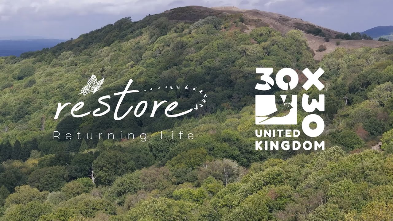 Nature-positive business leadership opportunity