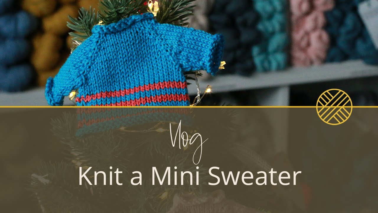 Knitting a Mini Sweater! | Stolen Stitches Vlog Ep. 12