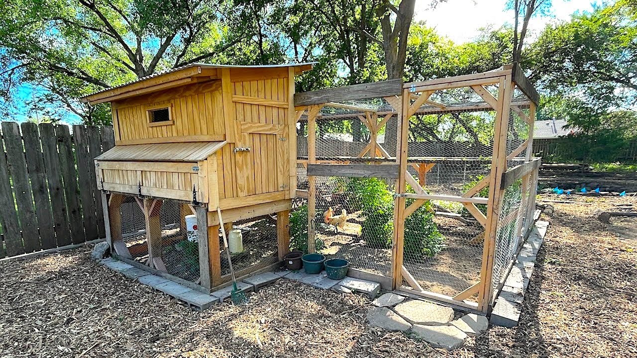 построил свой собственный курятник на заднем дворе и бегал 🐔🥚