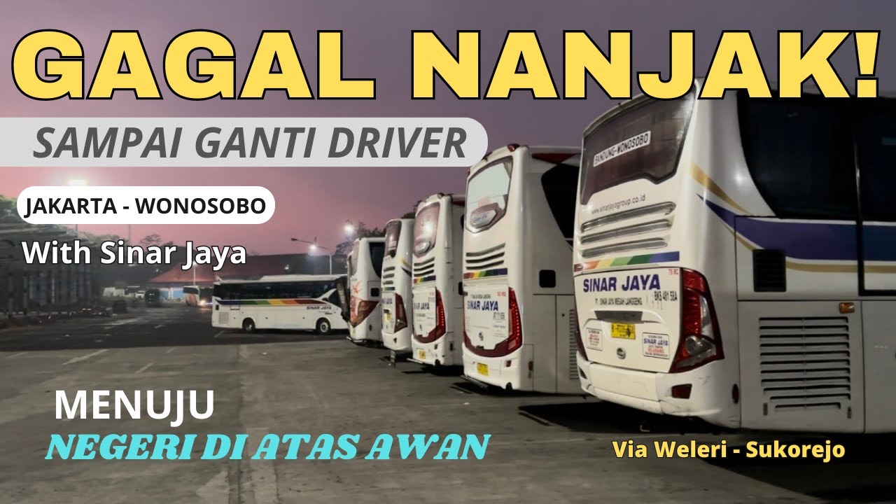 Bus Mati di Tengah Hutan Malam!! | Trip Jakarta - Wonosobo | Sinar Jaya