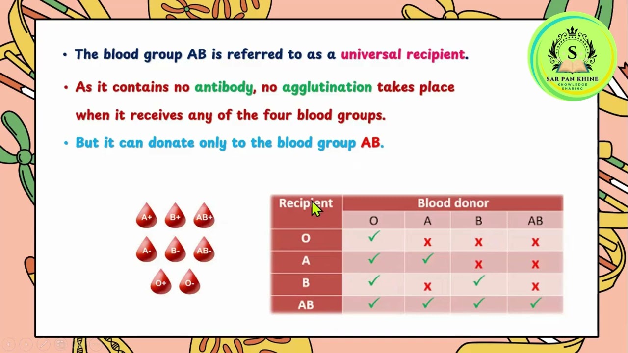 Grade 11 Biology Chapter 5 Continuation of Life _ 5.2.3  Multiple Alleles_ 5.2.4 Sex Determination