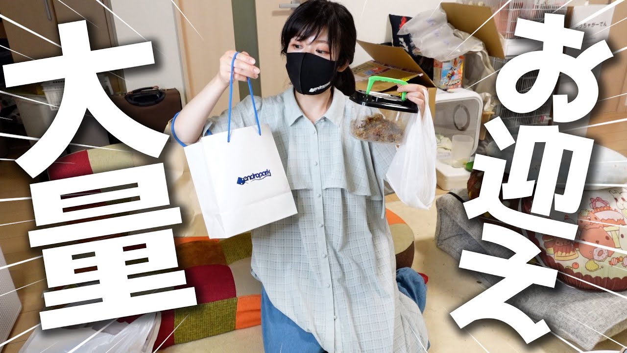 爬虫類とかアレとかアレを13万円分お迎えしてセッティングぅ～！