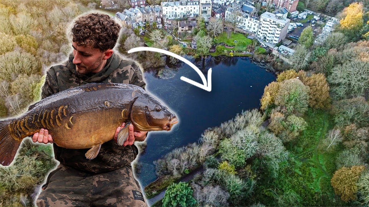 THE BIG MIRROR - London Park Lake In Winter