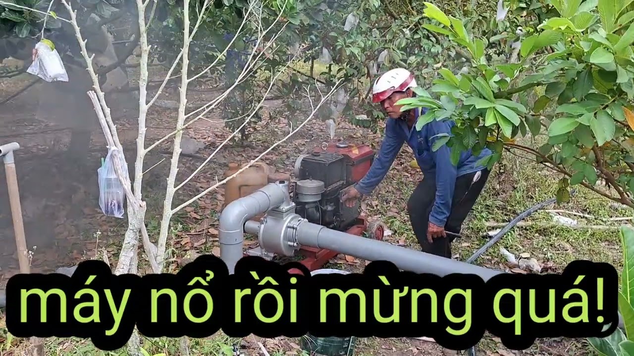 Hoàn thành hệ thống tưới cho vườn của chú Hai....#hethongtuoi#nongdanthoidaimoi