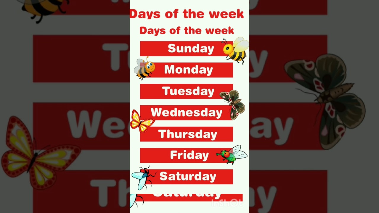 #dayoftheweek #daysname #sundaymondaytuesday