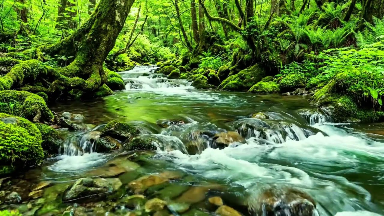 Soothing Streams and Birds Singing, Natural Sounds for Healing Mind, Relaxation, and Meditation