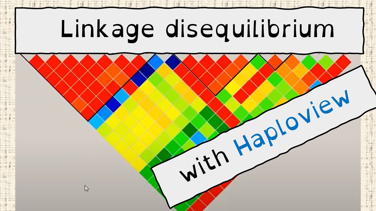 How to visualize Linkage disequilibrium (LD)? - A Haploview tutorial