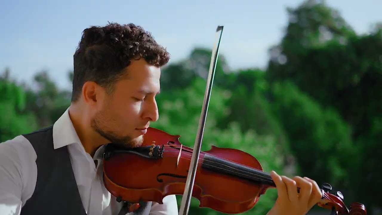 Alors on danse violin cover