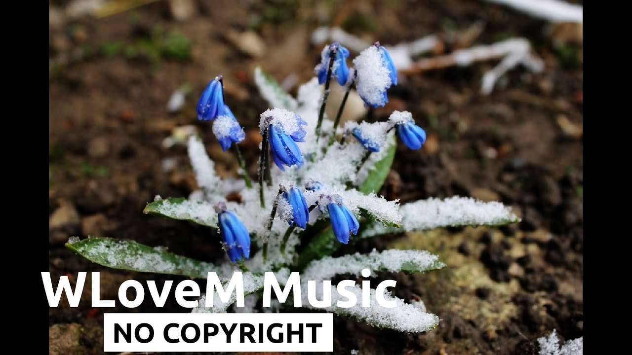 Spring Thaw - [Ambient] - From Asher Fulero