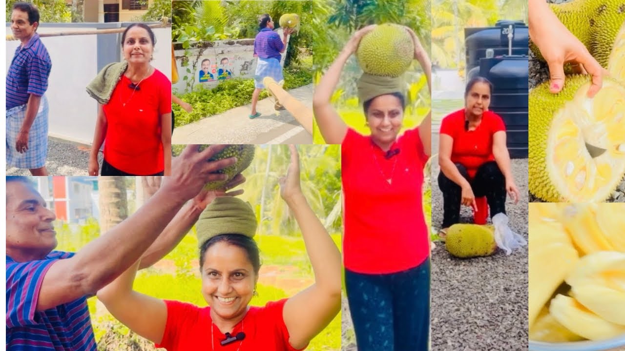 Village Girl’s Journey to the Forest to Find Sweet Tropical Fruit