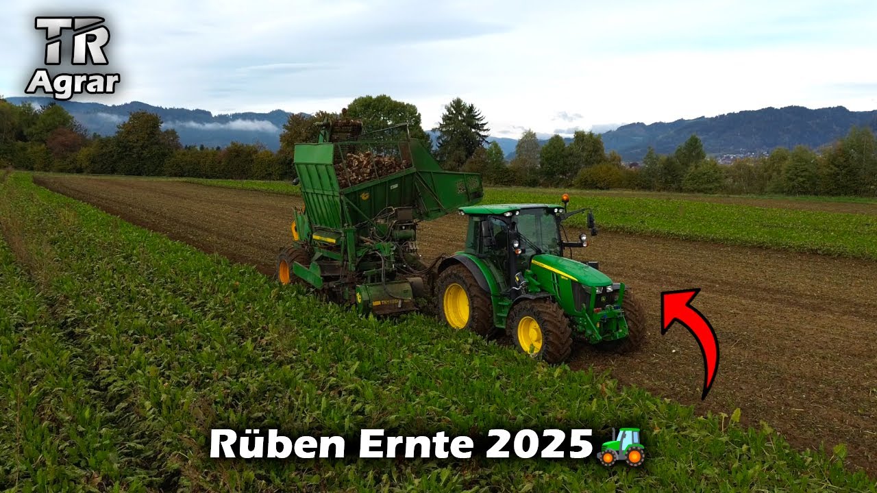 Rüben Ernte 2025🚜 I TR Agrar