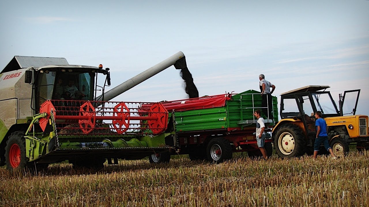 Claas Tucano 320 & Ursus c360 vs 12 ton ☆ Żniwa 2013 ㋡ MafiaSolec