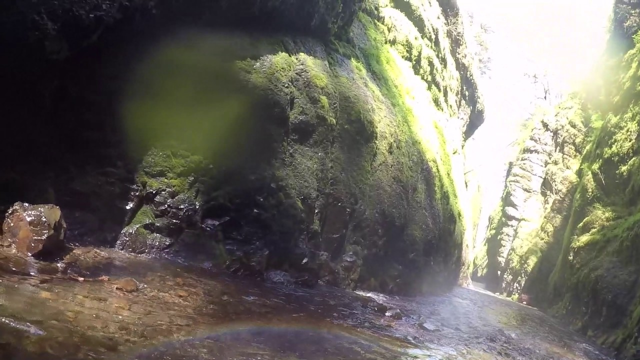 Oneonta Falls Columbia River Gorge Quick Hike