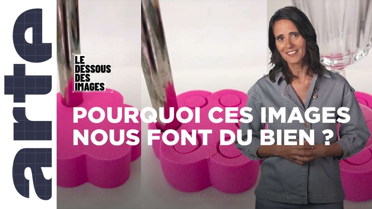 TikTok : Les secrets de fabrication des 