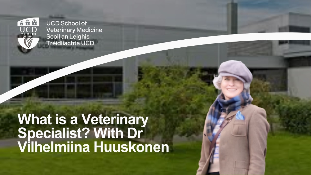 Inside Veterinary Anaesthesia at UCD Veterinary Hospital
