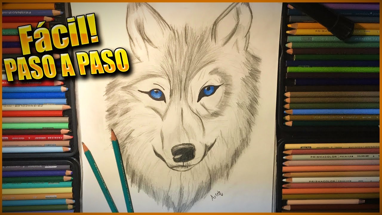 CÓMO DIBUJAR un LOBO REALISTA detallado PASO a PASO | 👉🅵Á🅲🅸🅻😱 | 2021