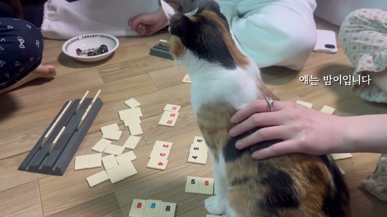 친구 집 놀러 간 브이로그요.