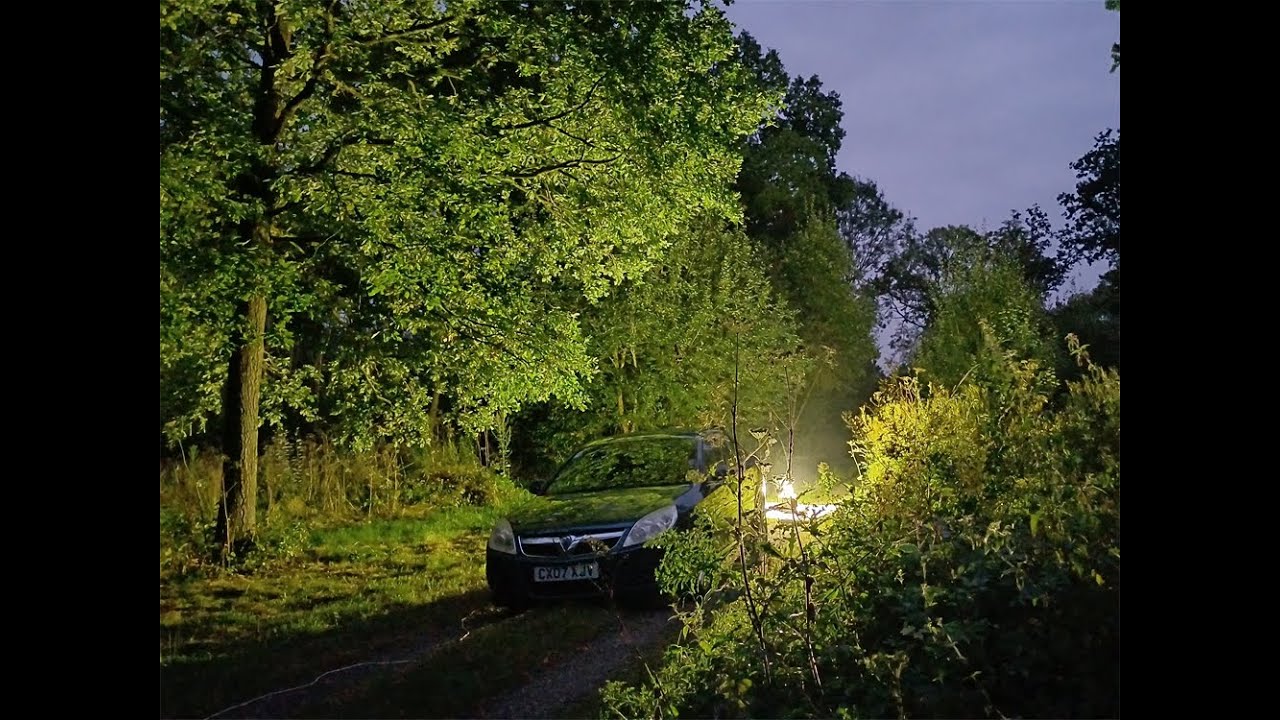 Moth trapping - Treswell Wood August 31st 2024