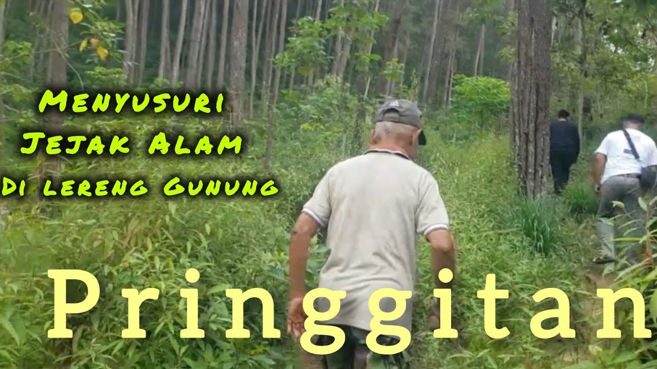 Pringgitan: Permata Tersembunyi untuk Pendaki Pemula