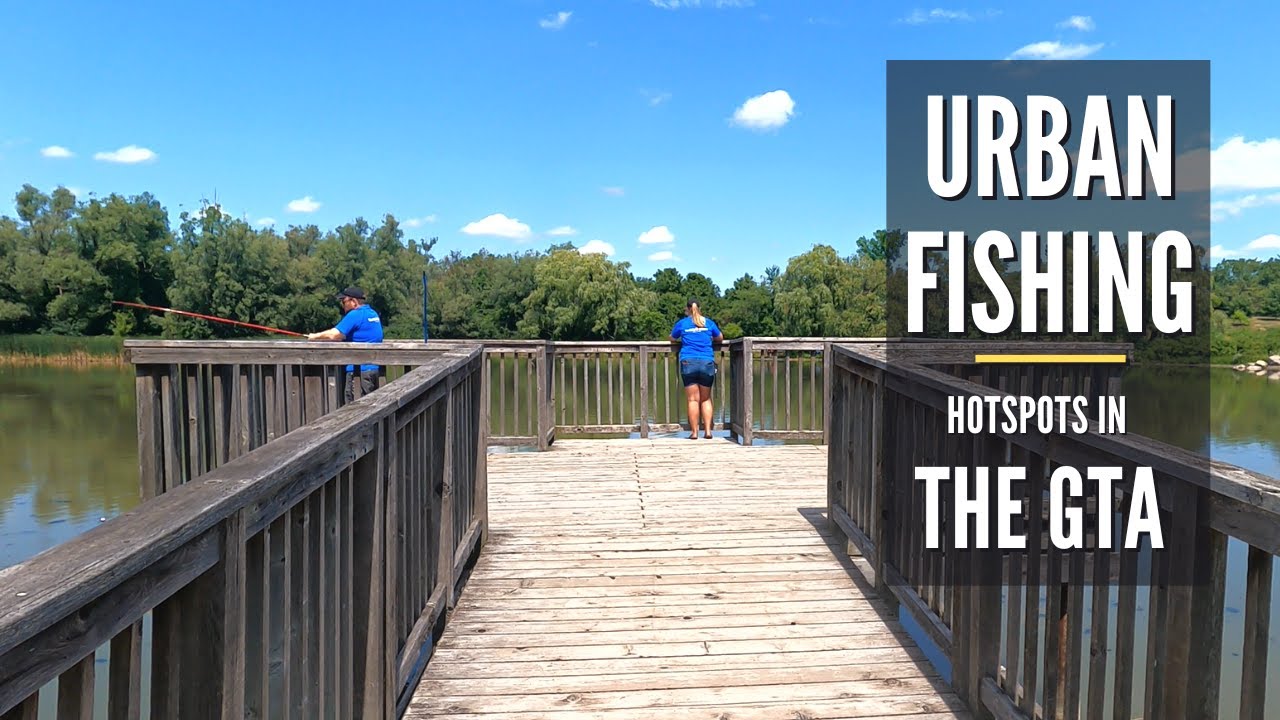 Toogood Pond and Swan Lake Park in Markham | Urban Fishing Hotspots in The GTA