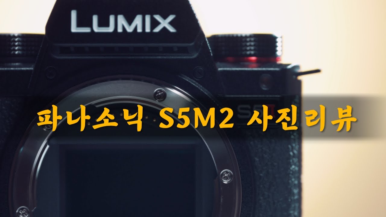 파나소닉 S5M2 정말 좋은데... 사진도 괜찮을까? 포토그래퍼가 바라본 S5M2