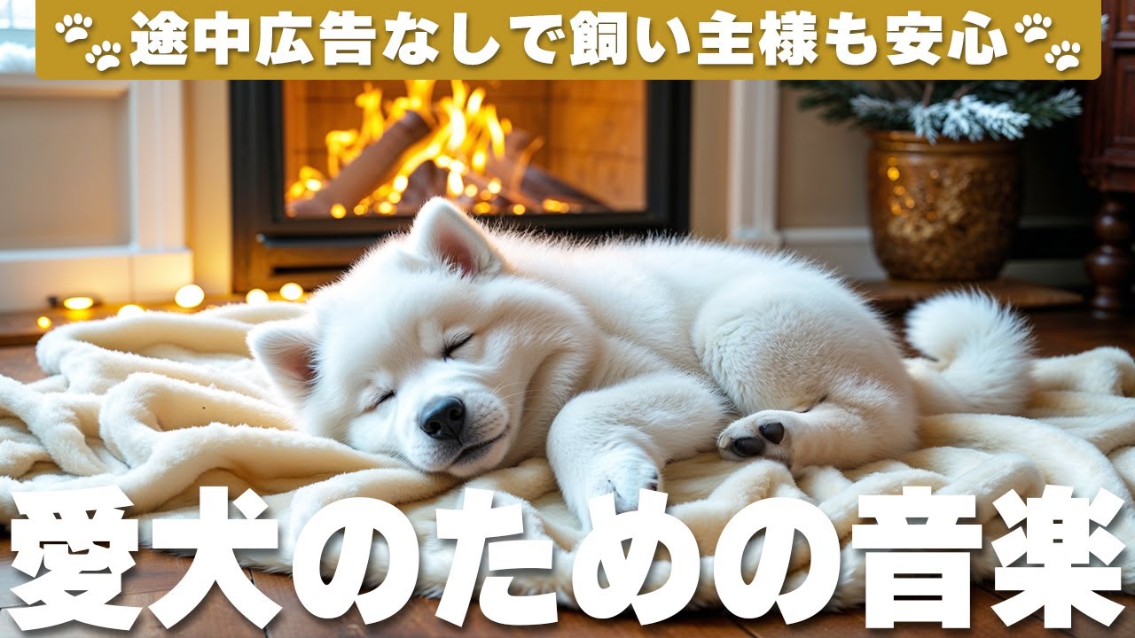 犬が落ち着く音楽 (12時間広告なし) 🐶 犬が好きな音楽 | 雷対策 / vol.781